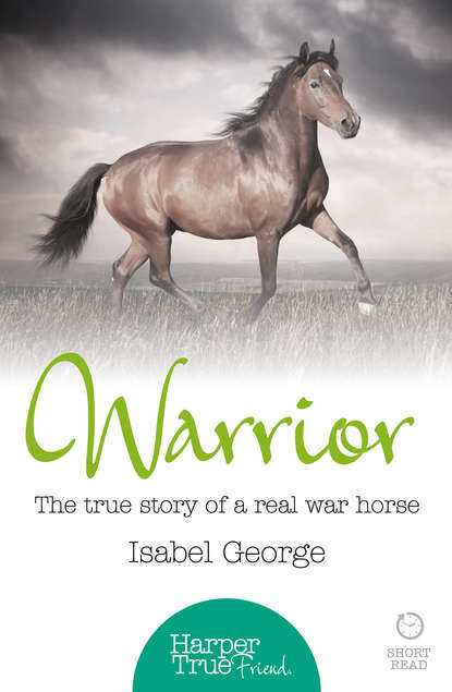 Скачать книгу Warrior: The true story of the real war horse