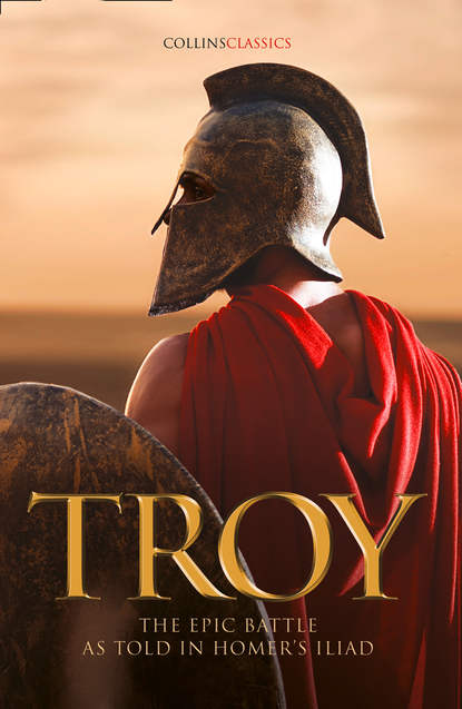 Скачать книгу Troy: The epic battle as told in Homer’s Iliad