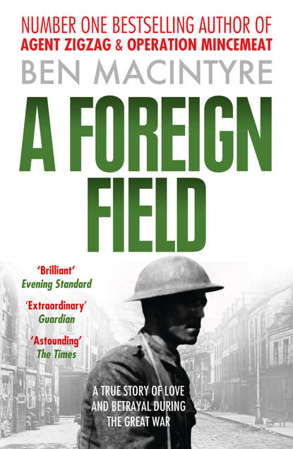 Скачать книгу A Foreign Field