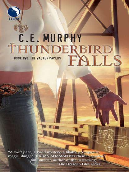 Скачать книгу Thunderbird Falls