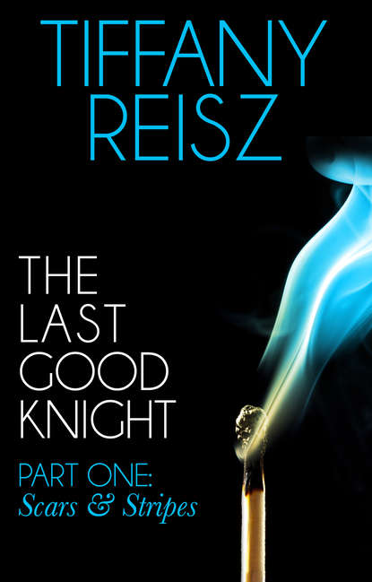 Скачать книгу The Last Good Knight Part I: Scars and Stripes