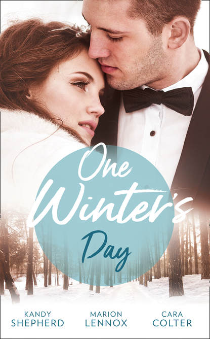 Скачать книгу One Winter's Day: A Diamond in Her Stocking / Christmas Where They Belong / Snowed in at the Ranch