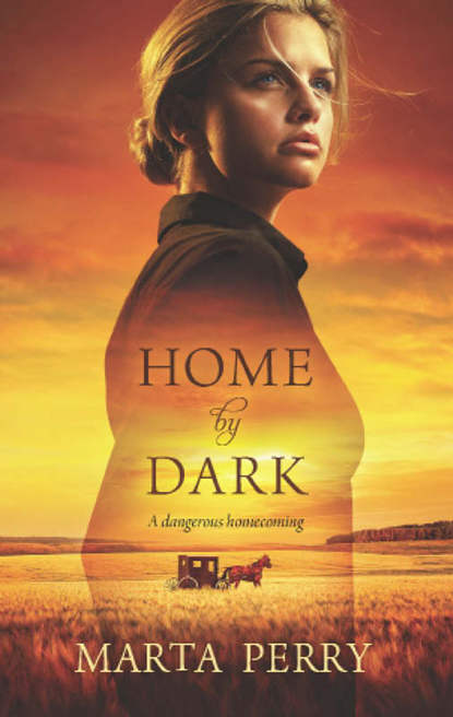 Скачать книгу Home by Dark