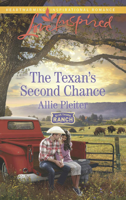 Скачать книгу The Texan's Second Chance