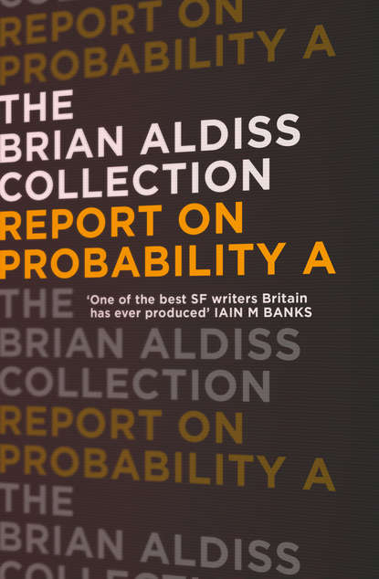 Скачать книгу Report on Probability A
