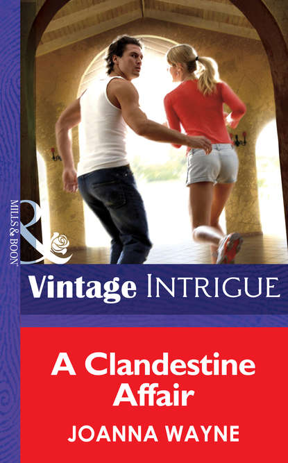 Скачать книгу A Clandestine Affair