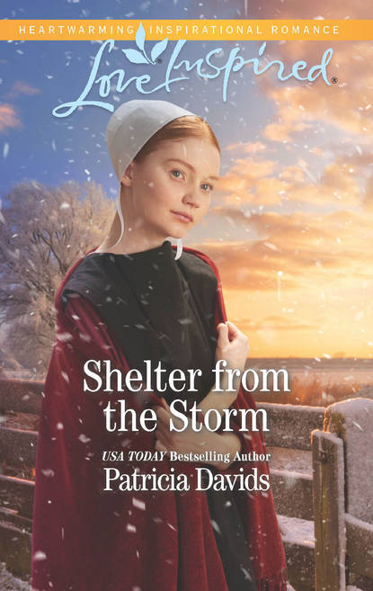 Скачать книгу Shelter From The Storm