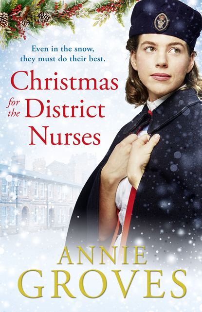 Скачать книгу Christmas for the District Nurses