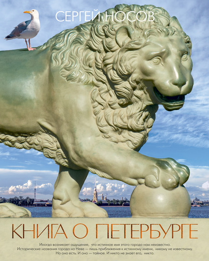 Скачать книгу Книга о Петербурге