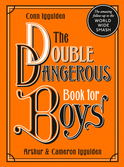 Скачать книгу The Double Dangerous Book for Boys