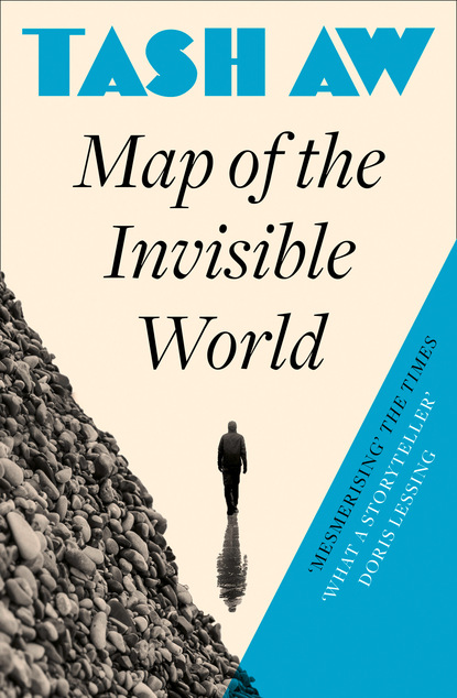 Скачать книгу Map of the Invisible World