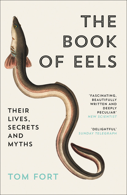 Скачать книгу The Book of Eels